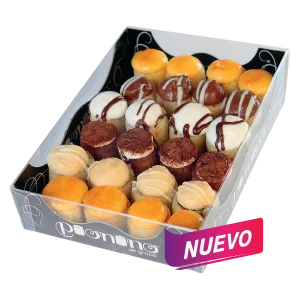 MINI PIONONOS SURTIDOS