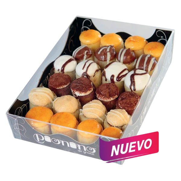 MINI PIONONOS SURTIDOS