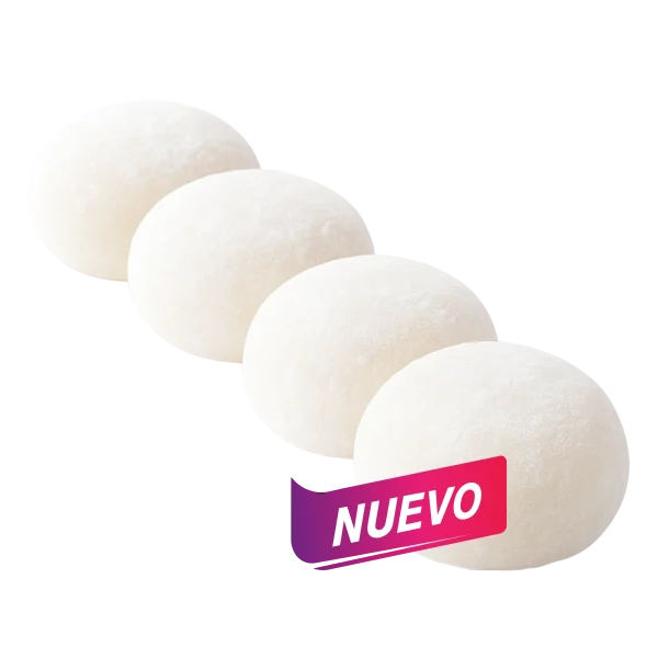 MOCHIS HELADOS (COCO)