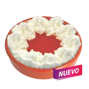 TARTA DE QUESO Y ARÁNDANOS